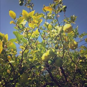 Meet your Posher, Meagan